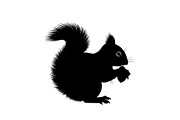 Black Squirrel Vector Icon Bundle, an Illustration by jahid234 (Thumbnail 30 of 51)