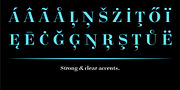 Legit Didone Head, a Serif Font by Finaltype (Thumbnail 7 of 14)