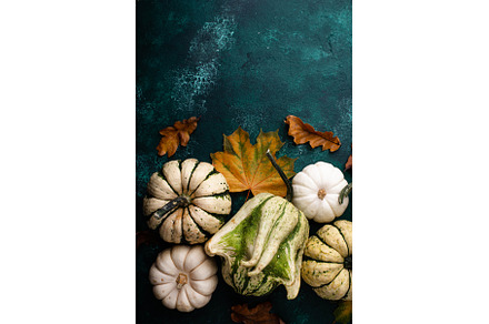 Autumn fall background with pumpkins, a Food & Drink Photo by Yulia Furman