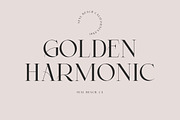 Malibu | Modern Stylish, a Serif Font by Muntab_Art (Thumbnail 3 of 8)