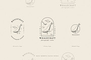 Magic Moments Graphic Bundle//Zodiac, an Animal Illustration by SNIPESCIENTIST (Thumbnail 9 of 23)