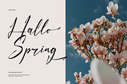 Faduga Elistonia Handwritten Script, a Script Font by gracetype_studio (Thumbnail 9 of 12)