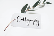 Prestige | Script Font, a Handwritten Font by Scratchones (Thumbnail 3 of 9)