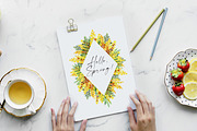 Yellow Mimosa Sunshine, an Illustration by Olga Koelsch (Thumbnail 2 of 7)