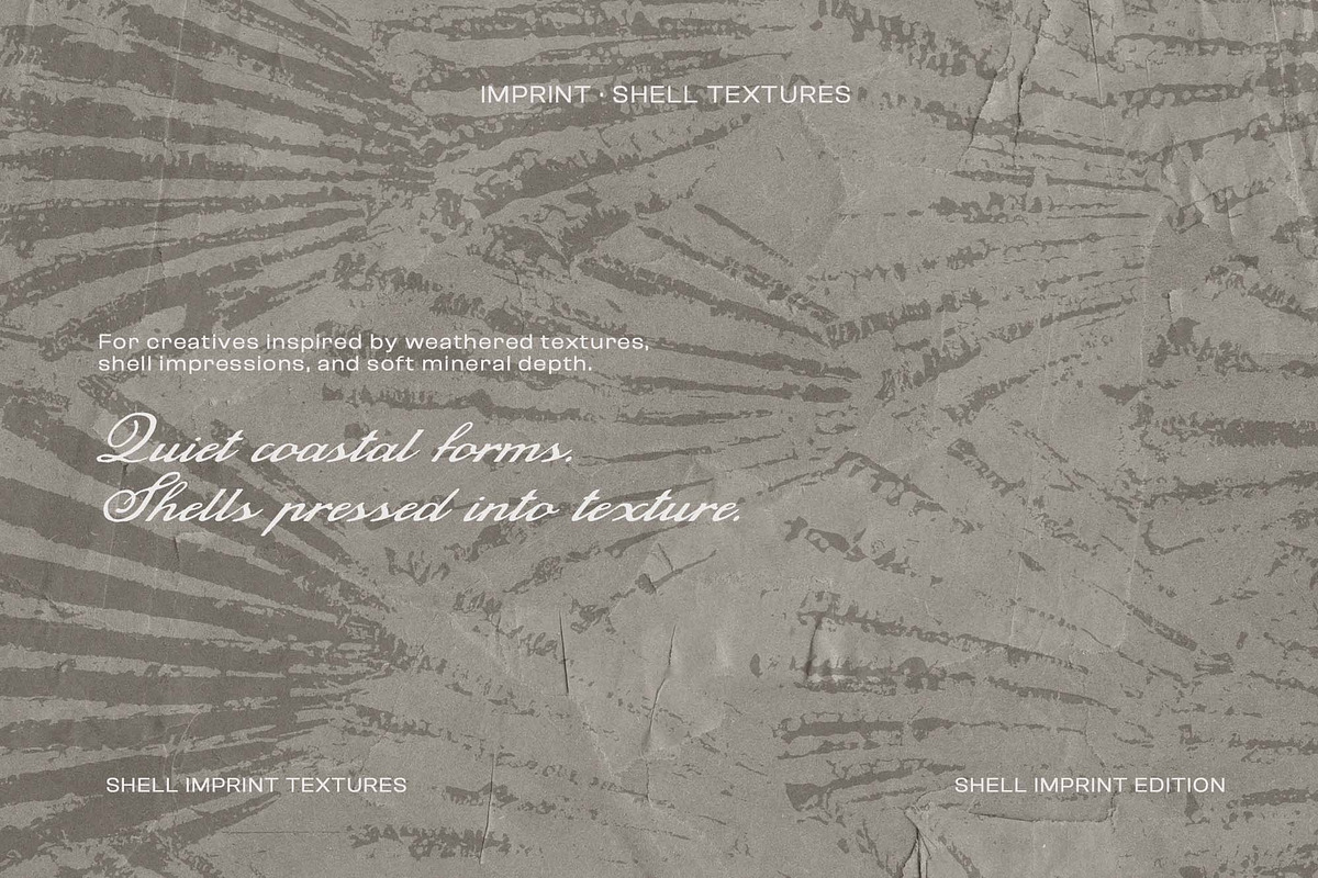 Shell Imprint textures, a Background Graphic by DigARTbyHavroshka (Photo 5 of 12)