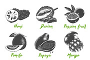 Set of 44 organic food objects, a Decorative Illustration by Akimo Mia (Thumbnail 5 of 10)