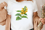 Watercolor Soybean Clipart Bundle, an Illustration by Canvas Craft (Thumbnail 6 of 8)
