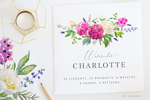 Charlotte. Watercolor collection