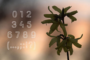 irene - a font with a temper, a Font by Pedro Azedo (Thumbnail 5 of 7)
