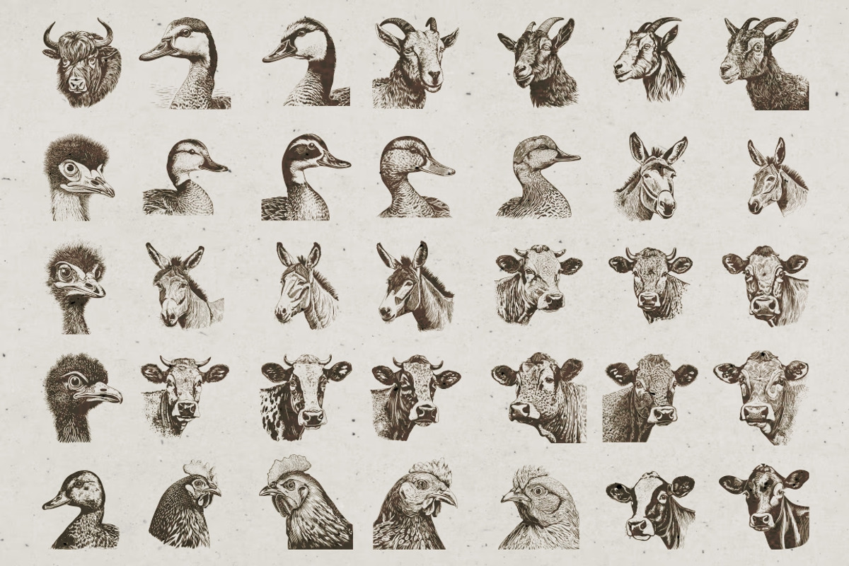 Farm Animals Illustrations, an Animal Illustration by Nocturnal Wolf (Photo 2 of 14)