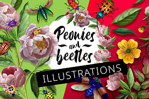 Peonies And Beetles ILLUSTRATIONS