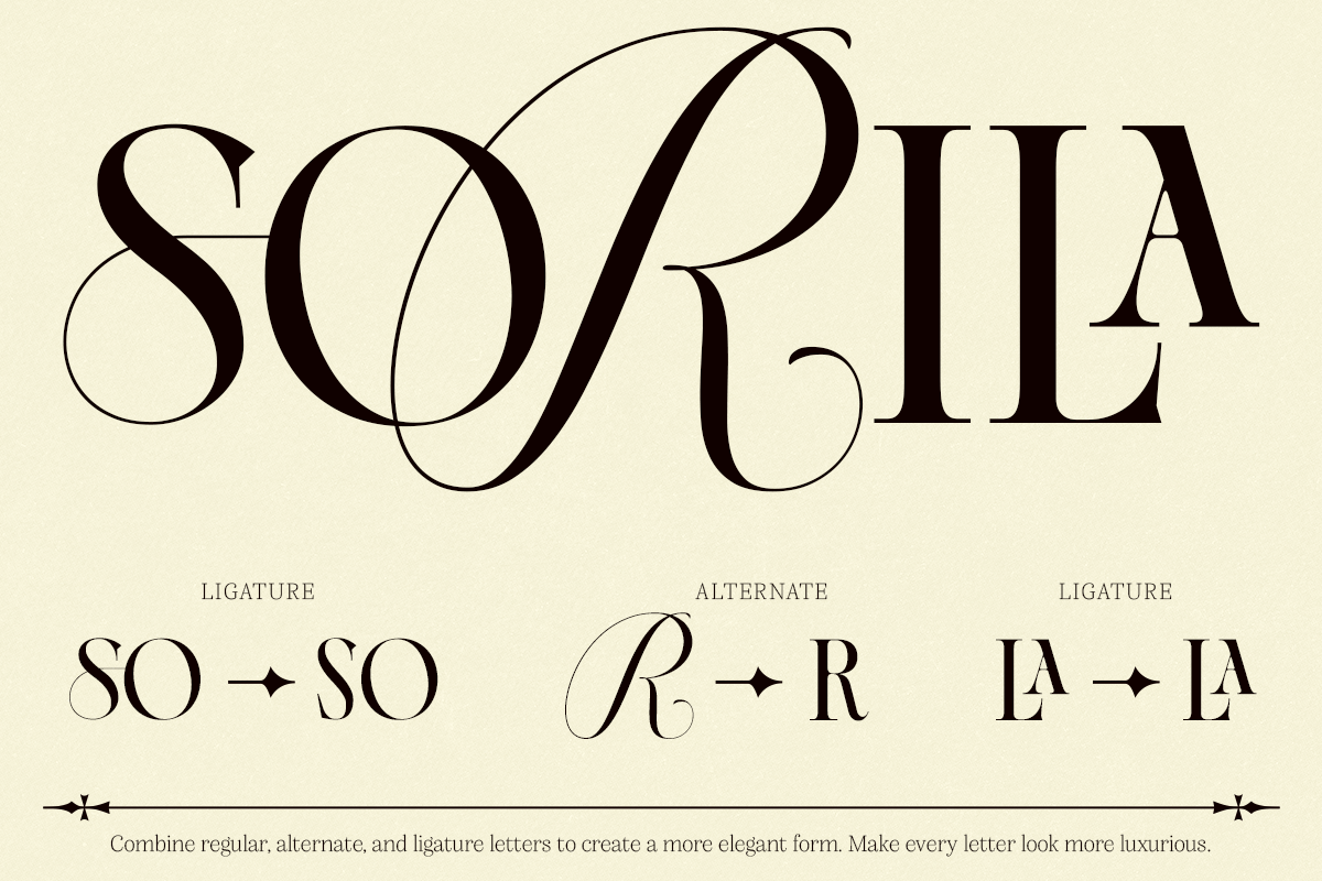 Dh Alista Aghni - 7 Serif Family, a Serif Font by Dharmas Foundry (Photo 3 of 16)
