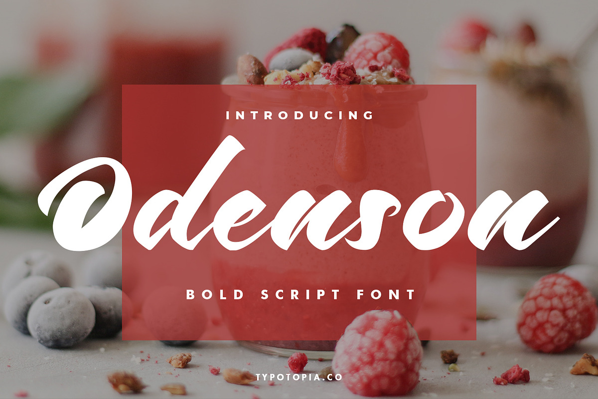 Odenson, a Script Font by edukka (Photo 1 of 10)