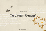 The Scarlet Pimpernel Handwritten, a Handwritten Font by Perplexitics (Thumbnail 1 of 10)
