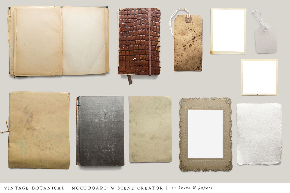 Botanical Moodboard Scene Creator, an Advertising Mockup by Eclectic Anthology (Photo 10 of 14)
