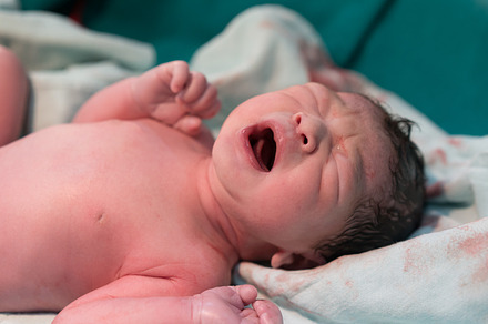 New born baby containing birth, born, and newborn, a Health & Medical Photo by Pushish Images