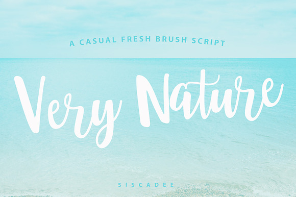 Very Nature Font preview 7