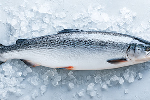Whole fresh salmon lying on crushed, a Food & Drink Photo by MistyDay