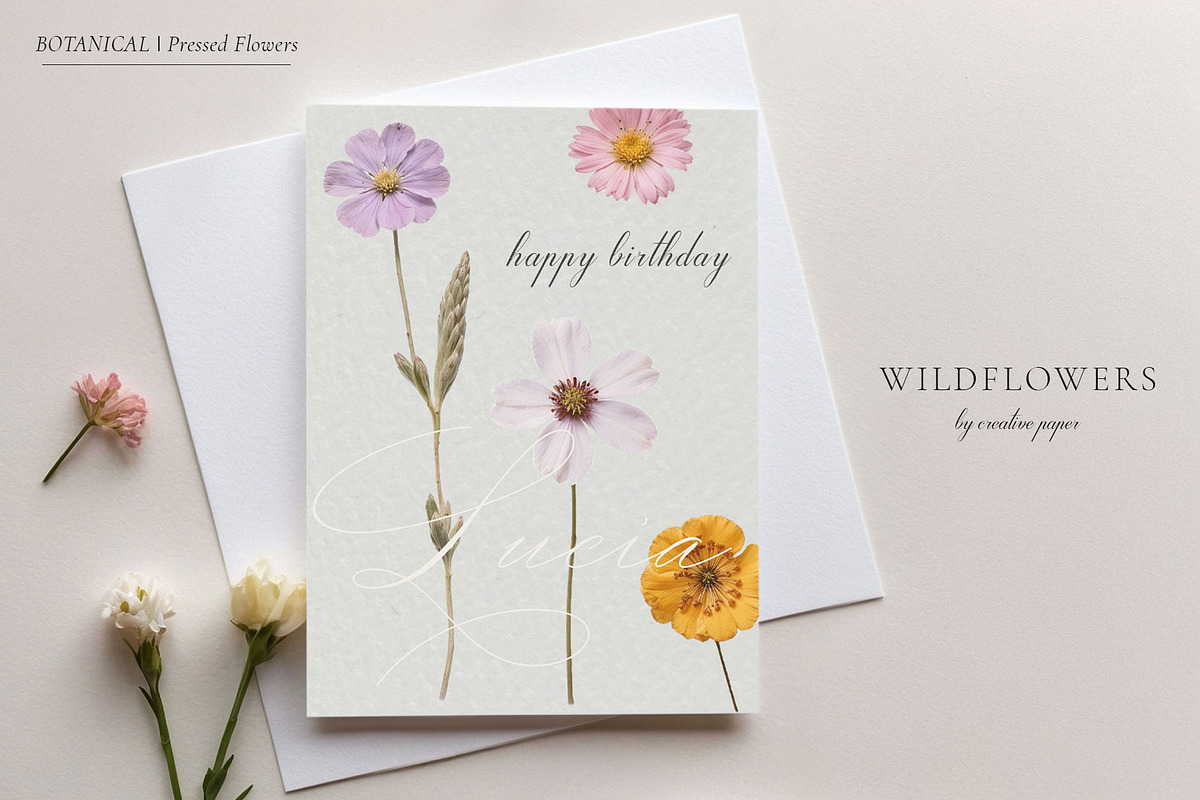 Pressed Flowers (Png) HELLO SPRING, a Background Graphic by by creative paper (Photo 3 of 13)