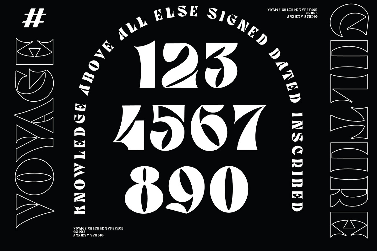 VOYAGE - CULTURE DISC 50% OFF, a Sans Serif Font by Anxiety Studio (Photo 6 of 10)