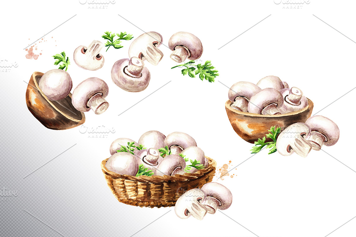 Mushrooms. Watercolor collection, a Food Illustration by Daria Ustiugova (Photo 4 of 7)