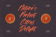 Spotnight Balmonte Modern Brush Font, a Script Font by stylishtype.co (Thumbnail 8 of 20)