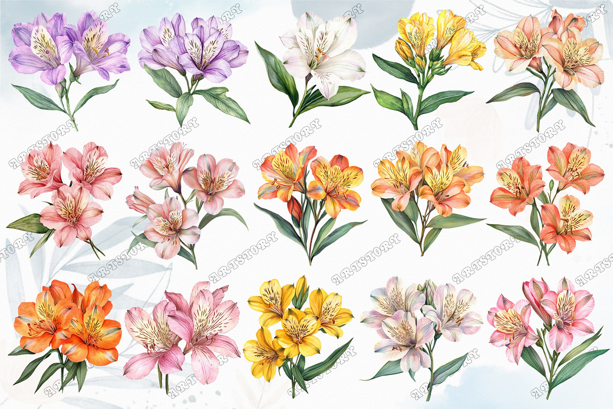 Retro Vintage Alstroemeria Flowers, an Illustration by designcity5 (Photo 3 of 5)