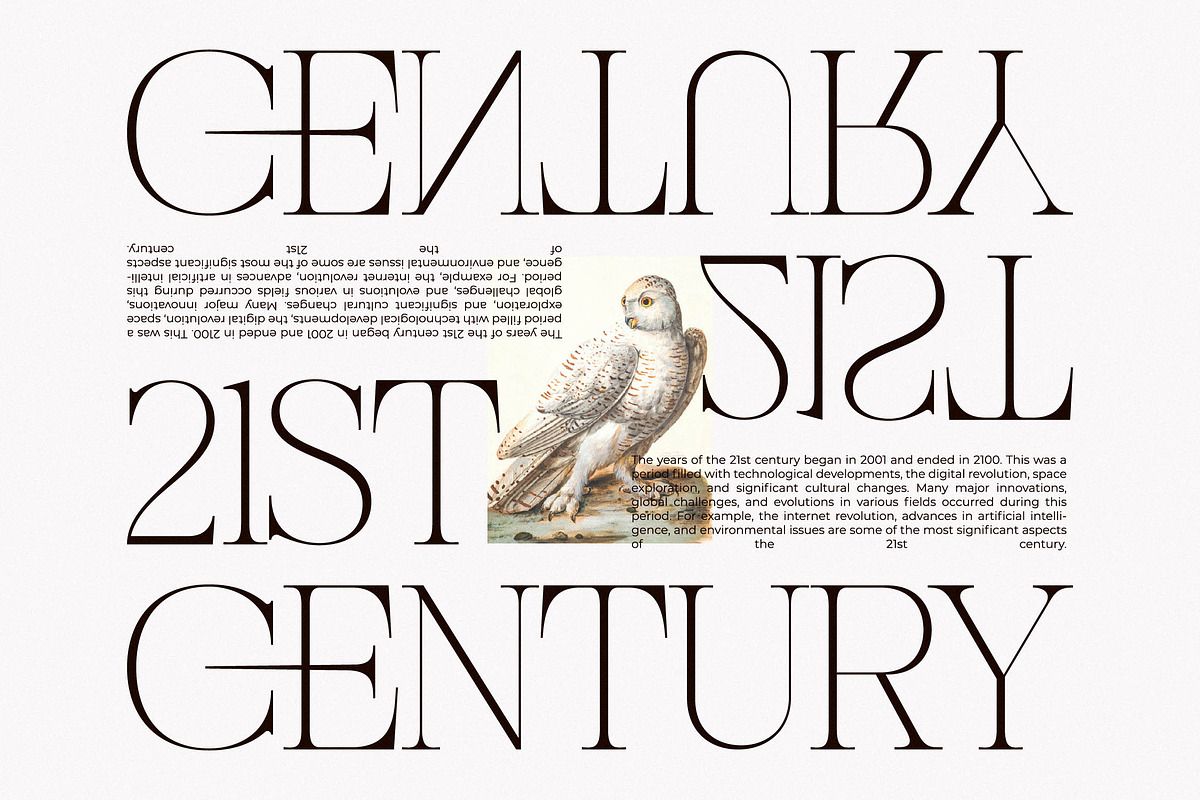 Nocashe New Display Serif Font, a Serif Font by Storytype Studio (Photo 6 of 15)