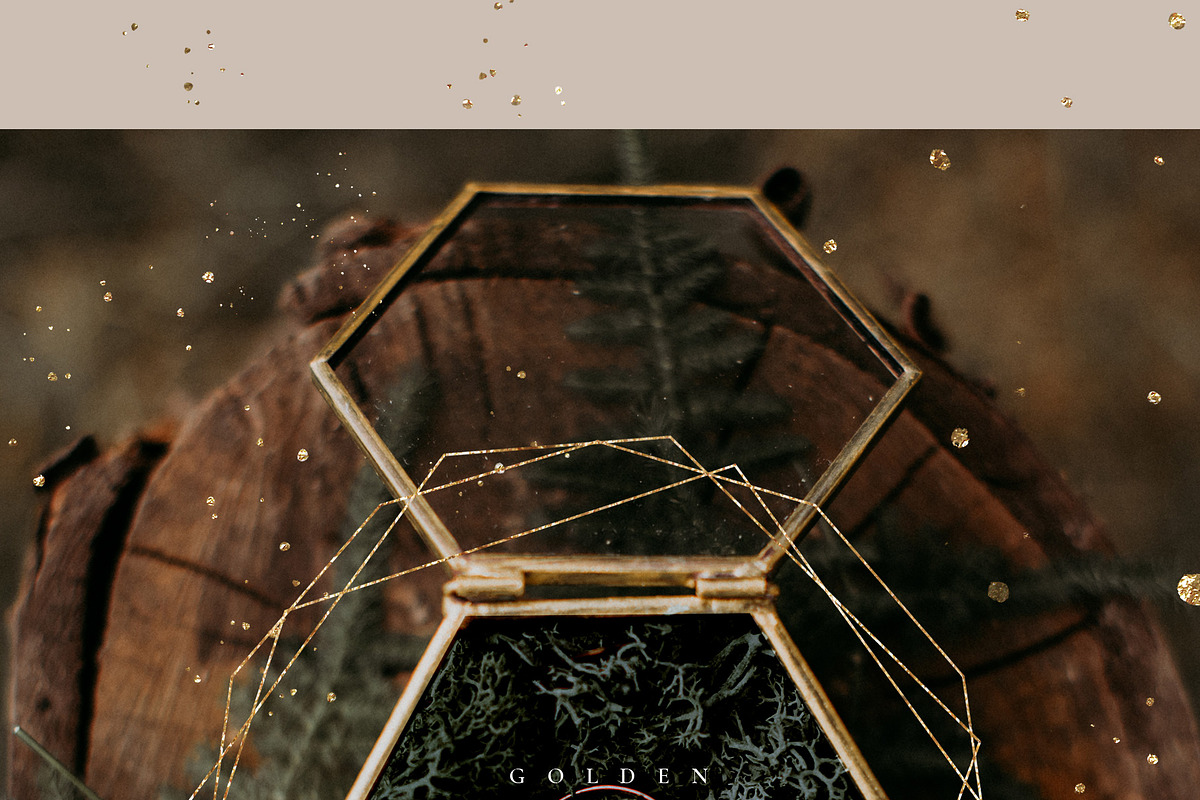 ANIMATED Watercolor Foliage & Gold, a Decorative Illustration by January Bloom (Photo 7 of 12)