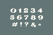 Oasis, a Slab Serif Font by Bruised Goods (Thumbnail 1 of 5)