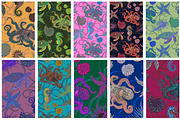 Marine Fauna, a Decorative Illustration by Andre_Eva (Thumbnail 7 of 7)