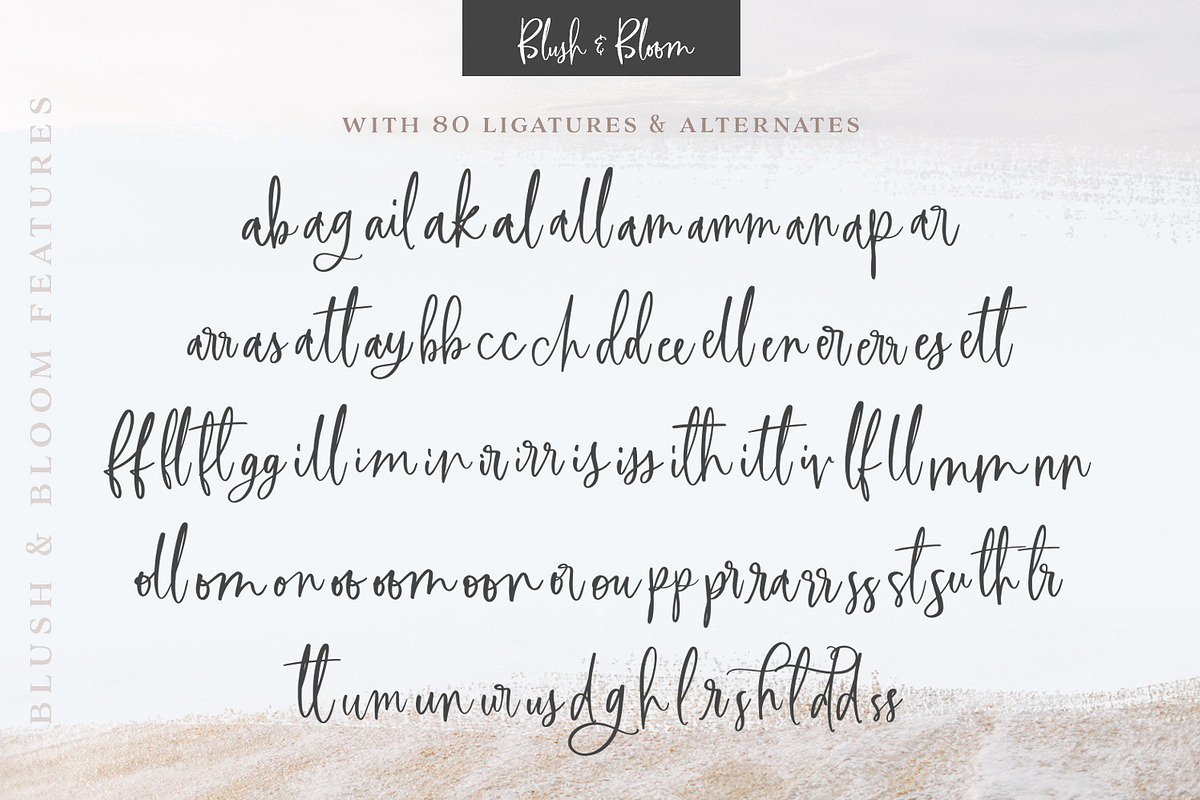 Blush & Bloom Signature Type, a Script Font by Callie Rian & Co. (Photo 12 of 19)