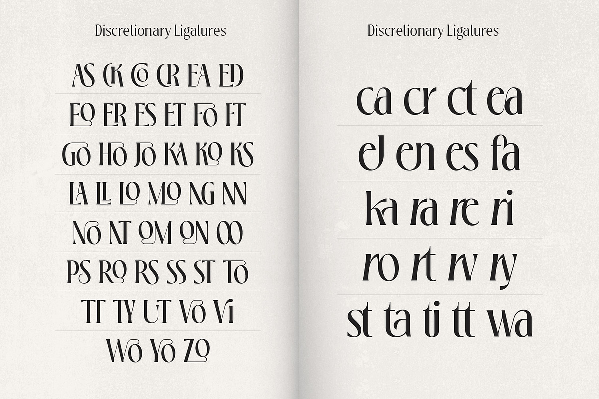 Loubrisa - Playful Branding Fonts, a Serif Font by creativemedialab (Photo 9 of 13)