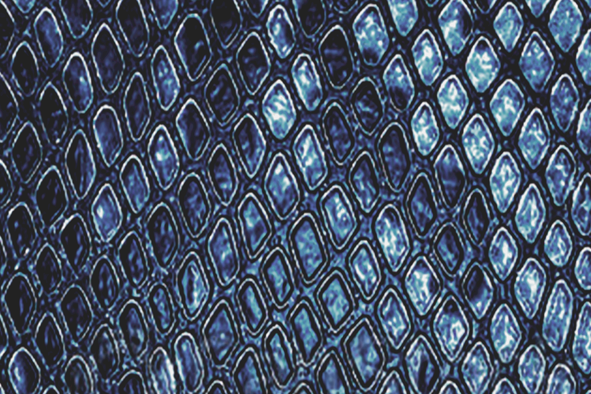 Snake skin, a Pattern Graphic by Dream Imagine Create