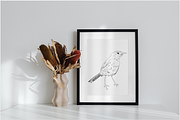 Birds of Africa Illustrations, a Decorative Illustration by CL Creative Studio (Thumbnail 9 of 14)