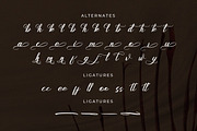 Emeline, a Script Font by Goresan Studio (Thumbnail 12 of 15)
