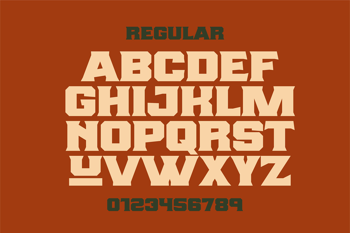 Lost Creek, a Serif Font by Dead Moose Studio (Photo 2 of 11)
