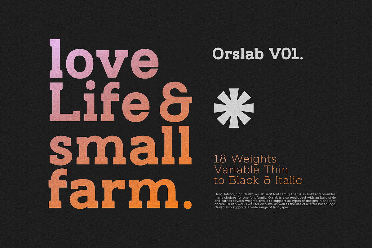 Orslab V01, a Slab Serif Font by OWL KING (Photo 9 of 9)