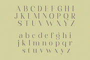 Eleanorth, a Serif Font by RT Studio (Thumbnail 8 of 10)