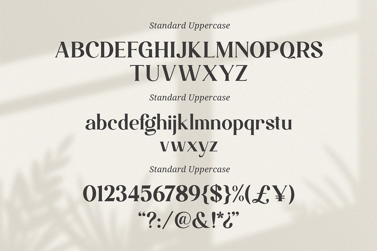 Magistic - Duo Ligature Typeface, a Serif Font by Graphicxell (Photo 5 of 10)
