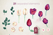 Burgundy and Cream Watercolor Tulips, an Illustration by WBS Design (Thumbnail 6 of 6)