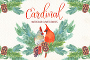 Cardinal bird watercolor clipart set, an Illustration by Art & Things (Thumbnail 4 of 6)