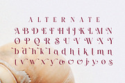 Soratruth - Modern Elegant Luxury, a Serif Font by Qweera Studio (Thumbnail 11 of 12)