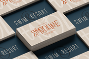 Proforma – Display & Script Font Duo, a Script Font by VP Fonts (Thumbnail 14 of 21)