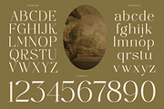 Agiantie | Elegant Tall Serif, a Serif Font by timelesstype.co (Thumbnail 18 of 20)