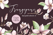 Frangipani Floral Watercolor Clipart, a Decorative Illustration by Sha1nee (Thumbnail 1 of 5)