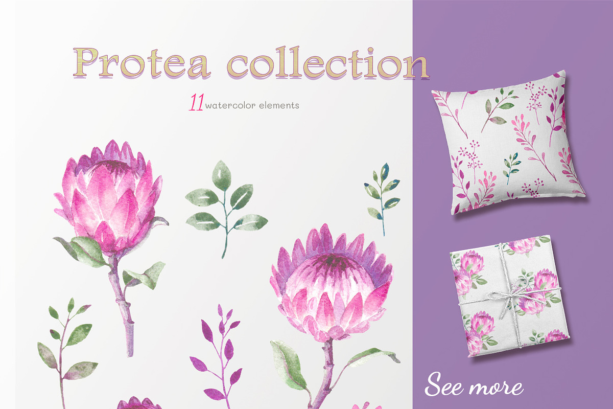 Protea collection, an Illustration by oKOLOstyle (Photo 5 of 6)