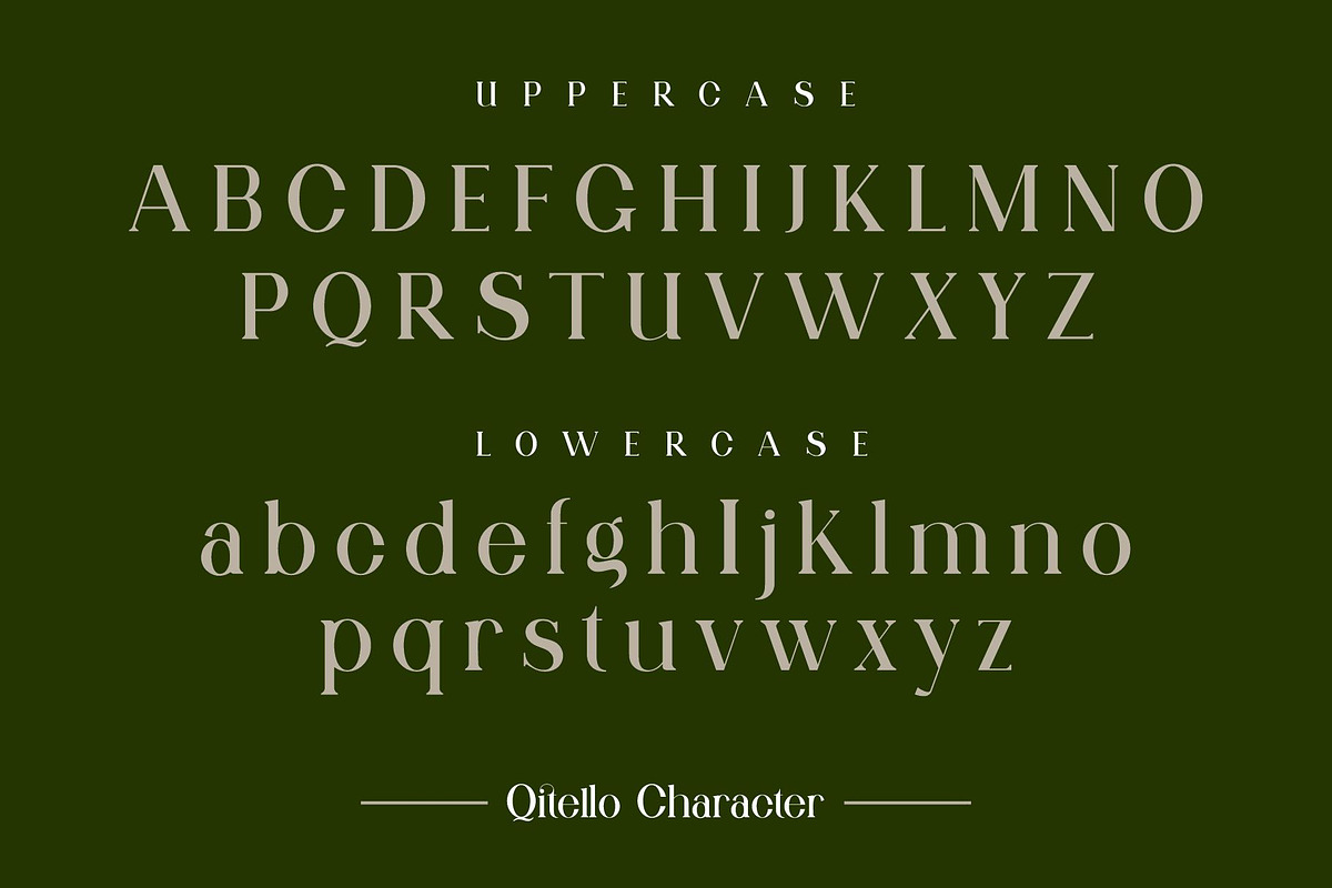 Qitello Ligature Serif Typeface, a Serif Font by Alfinart (Photo 7 of 10)