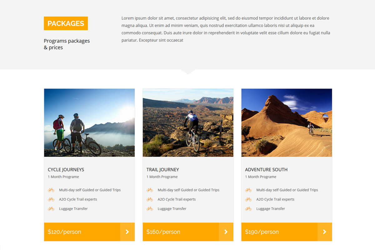 Biking Responsive HTML Template, a Websites & App Template by oLanding (Photo 4 of 5)