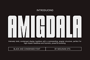 Amigdala Tall Display Font, a Font by Migunani Studio (Thumbnail 1 of 10)